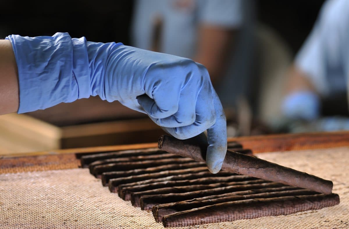 Il sigaro Toscano: eccellenza e tradizione, con uno sguardo al futuro