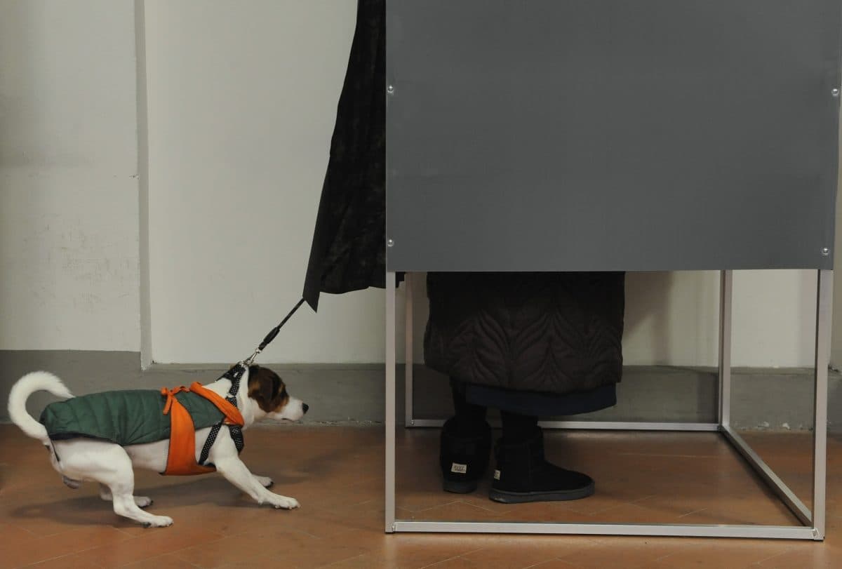 Cosa dicono i commentatori internazionali delle elezioni italiane