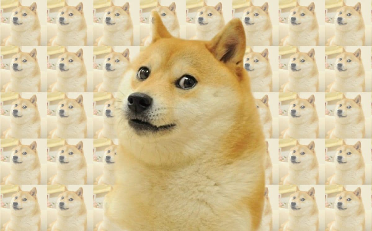 Resistere ai meme non serve a niente