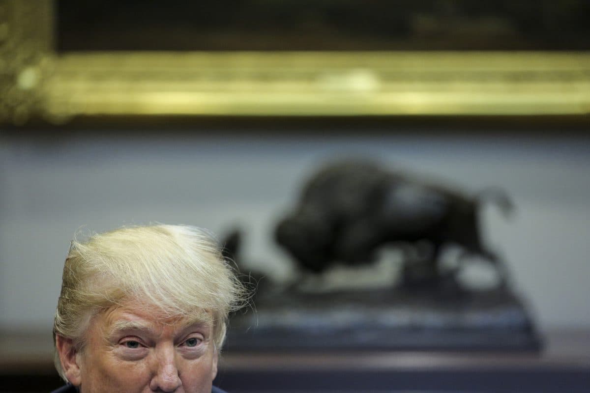 I dazi all'importazione non ci renderanno più ricchi