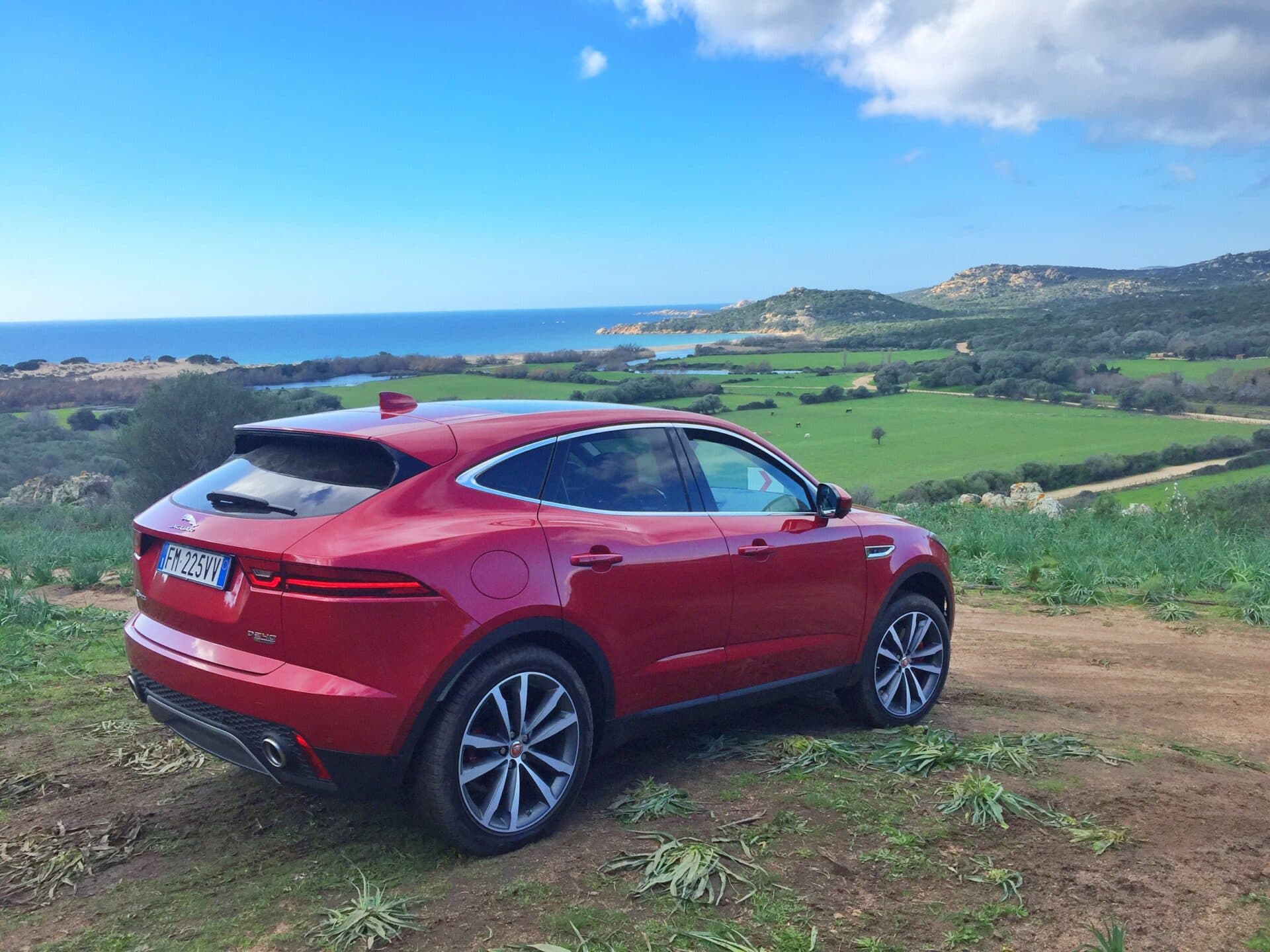 Il giaguaro ora può correre su tutti i terreni