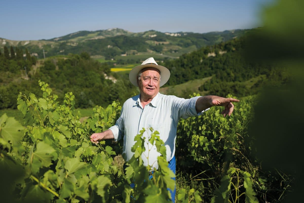 Dalla cattedra universitaria ad artigiano del vino