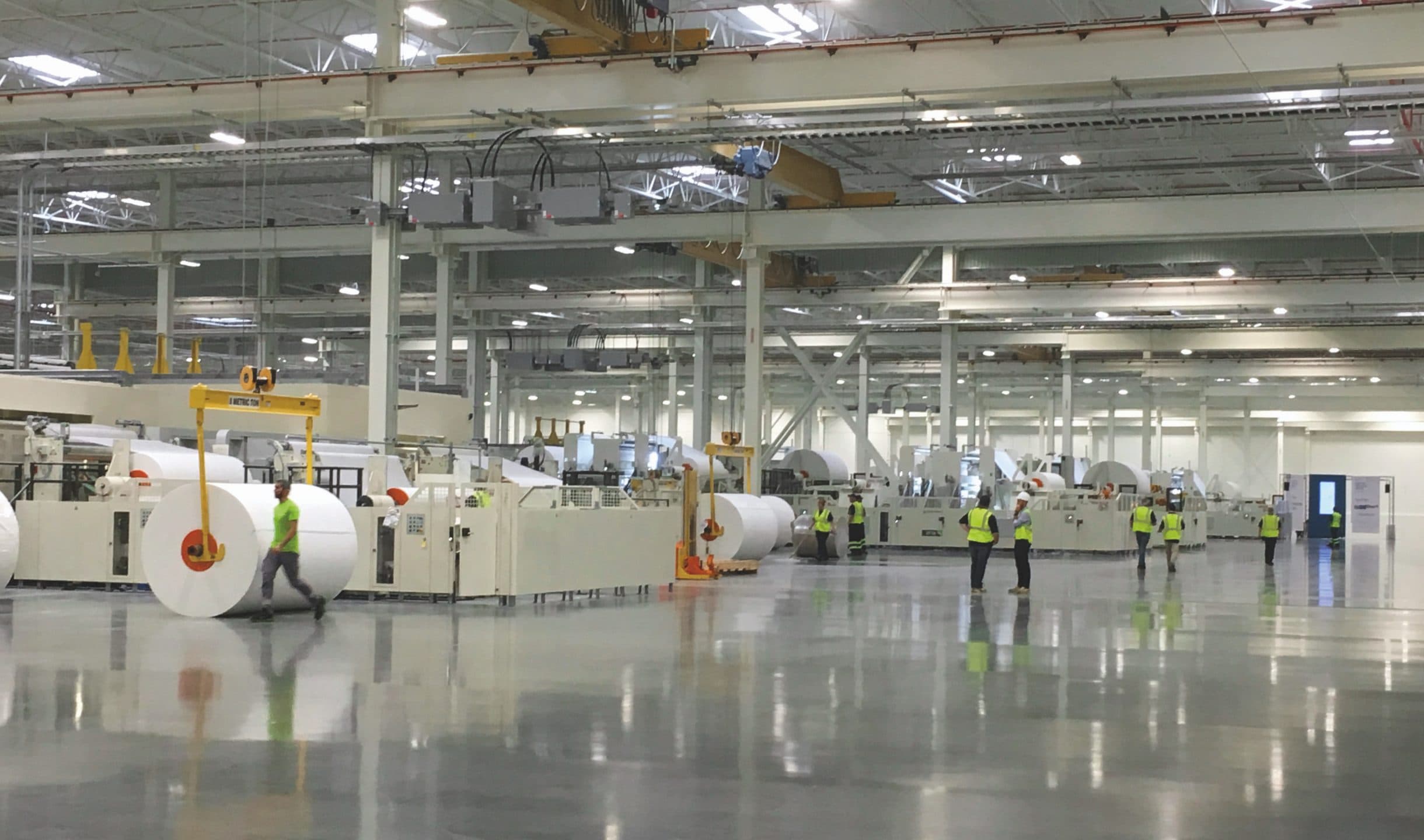 La Regina italiana della carta da esportazione