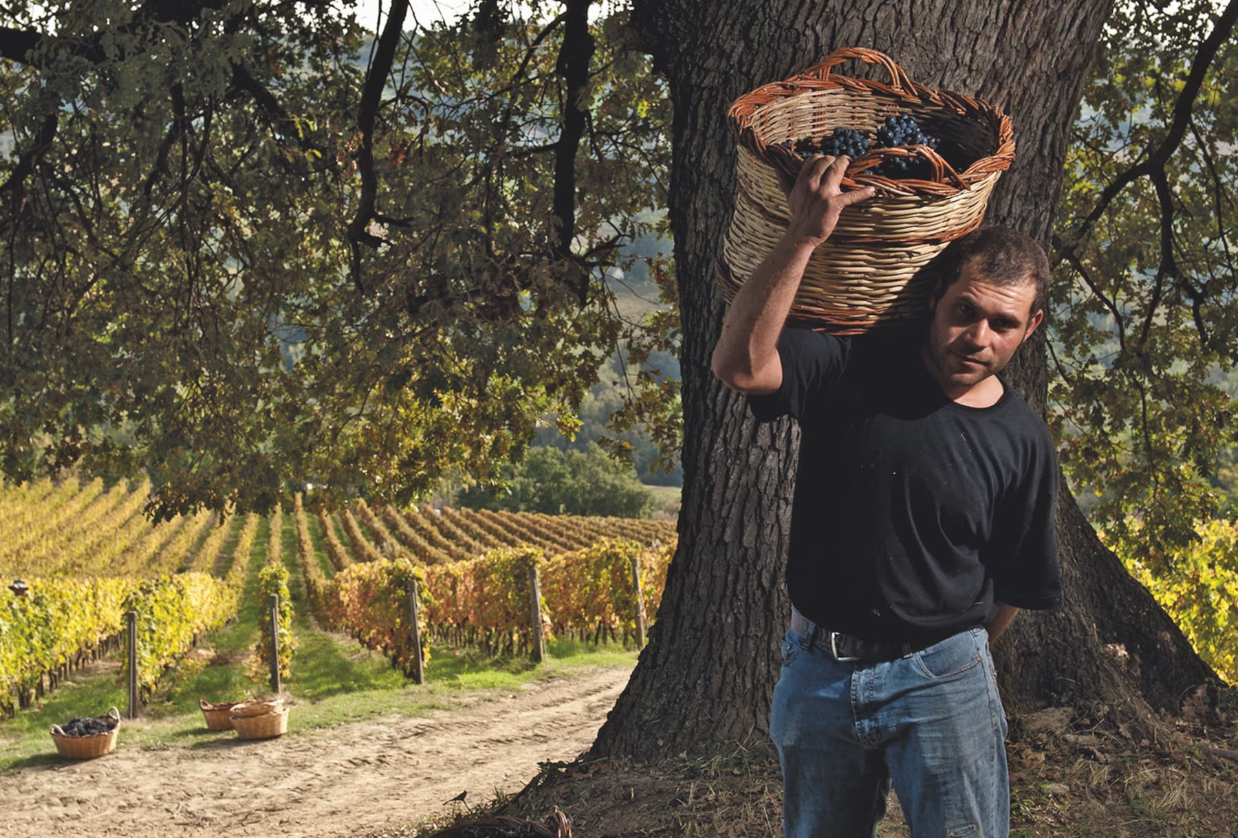 Il coast-to-coast dei grandi vini italiani