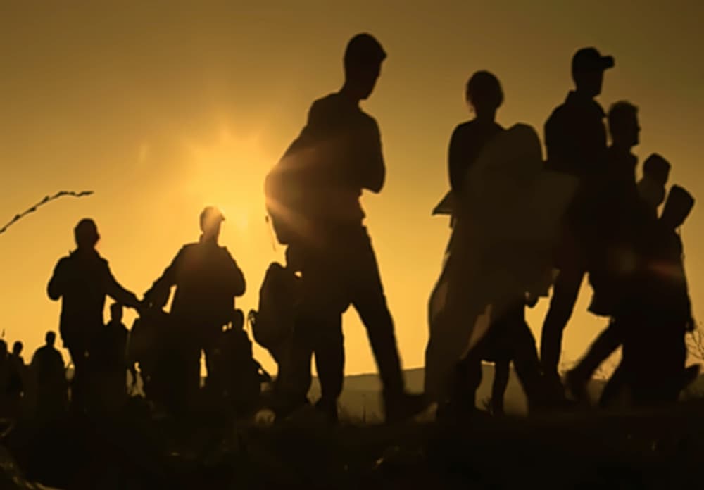 Perché l'Italia è incapace di attrarre immigrazione qualificata