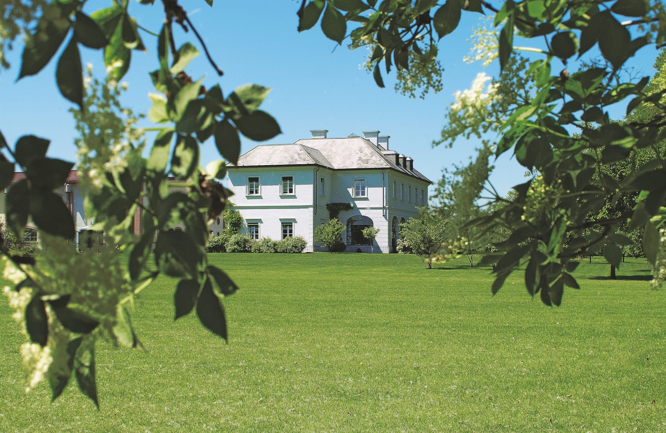 Storia di una piccola erboristeria diventata un'azienda da 77 milioni di euro