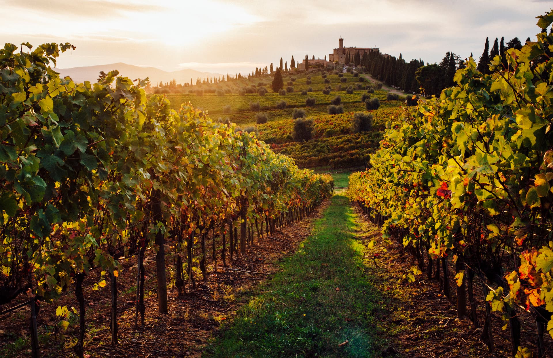 I 50 migliori vini italiani premiati al Best Italian Wine Awards 2019