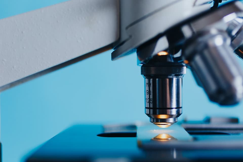 Questa startup è riuscita a individuare alcuni tumori prima dell’insorgenza di sintomi