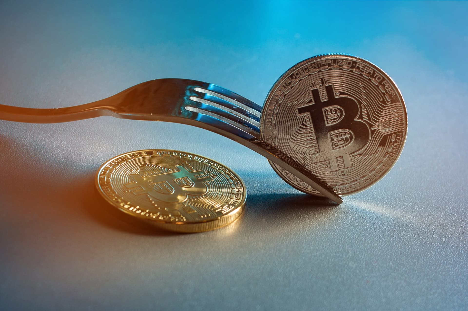La blockchain nel piatto, così cambia la filiera agroalimentare