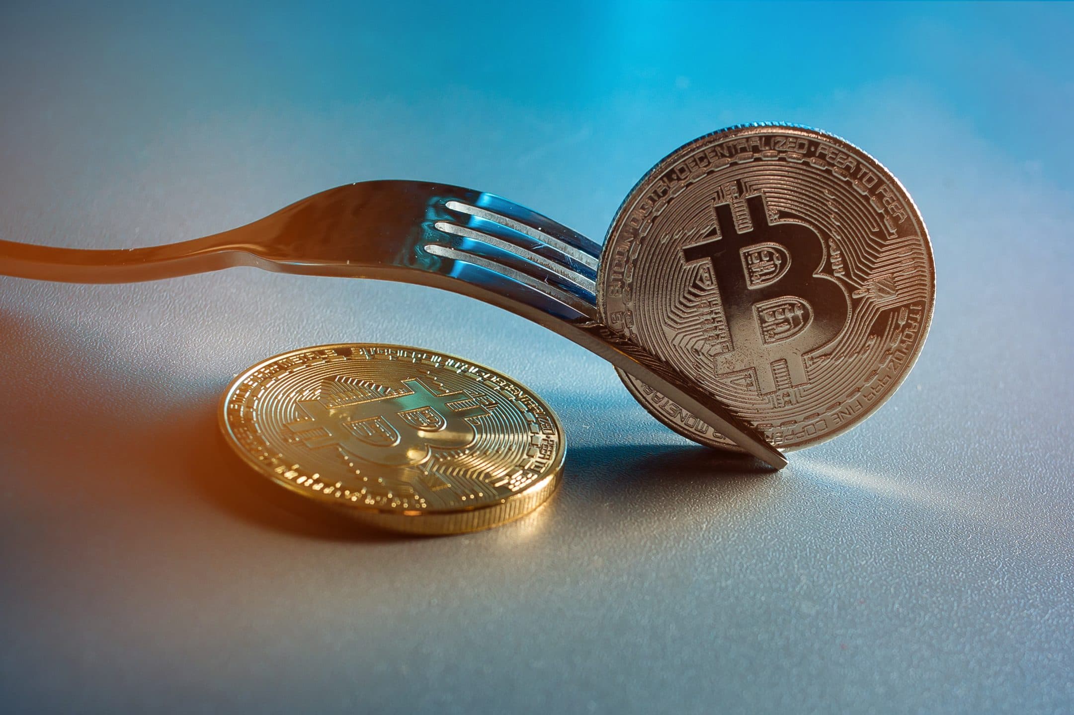 La blockchain nel piatto, così cambia la filiera agroalimentare