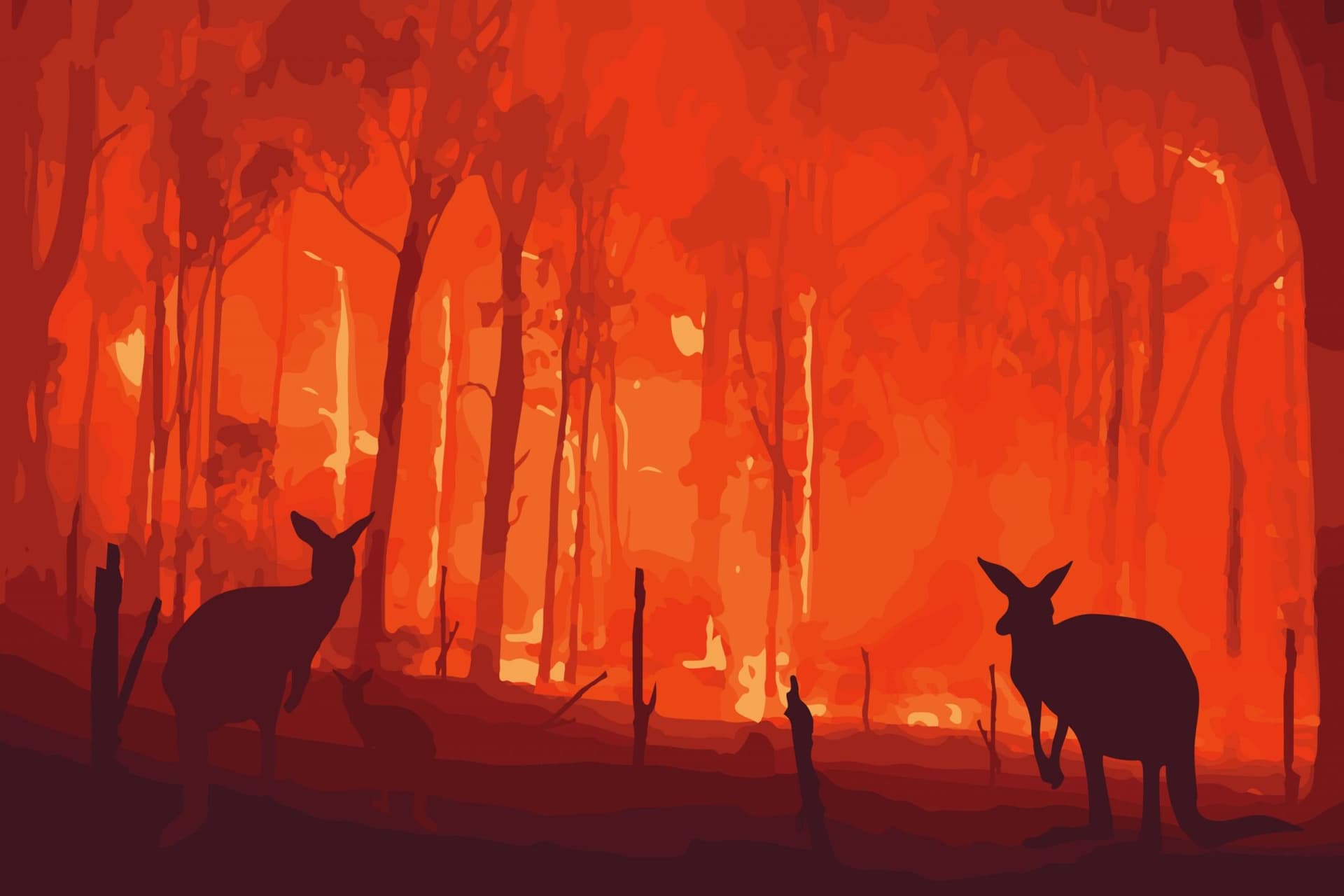 Chi sono i miliardari che hanno aperto i portafogli per l’emergenza in Australia