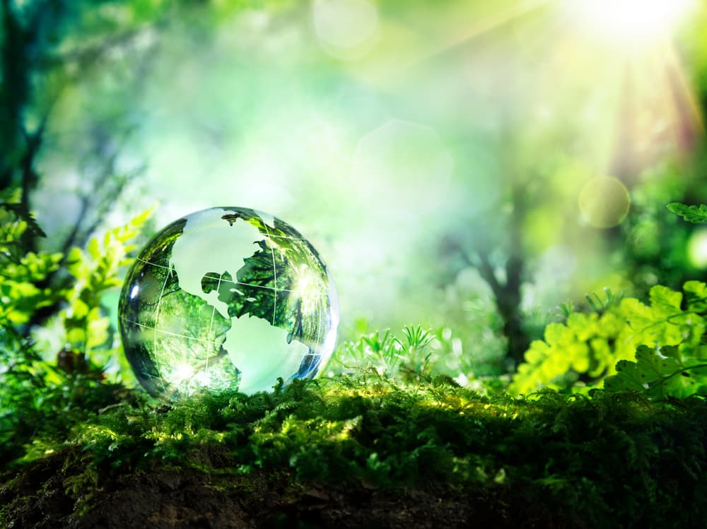 Sostenibilità ambientale: l'impegno e le iniziative di Tempocasa