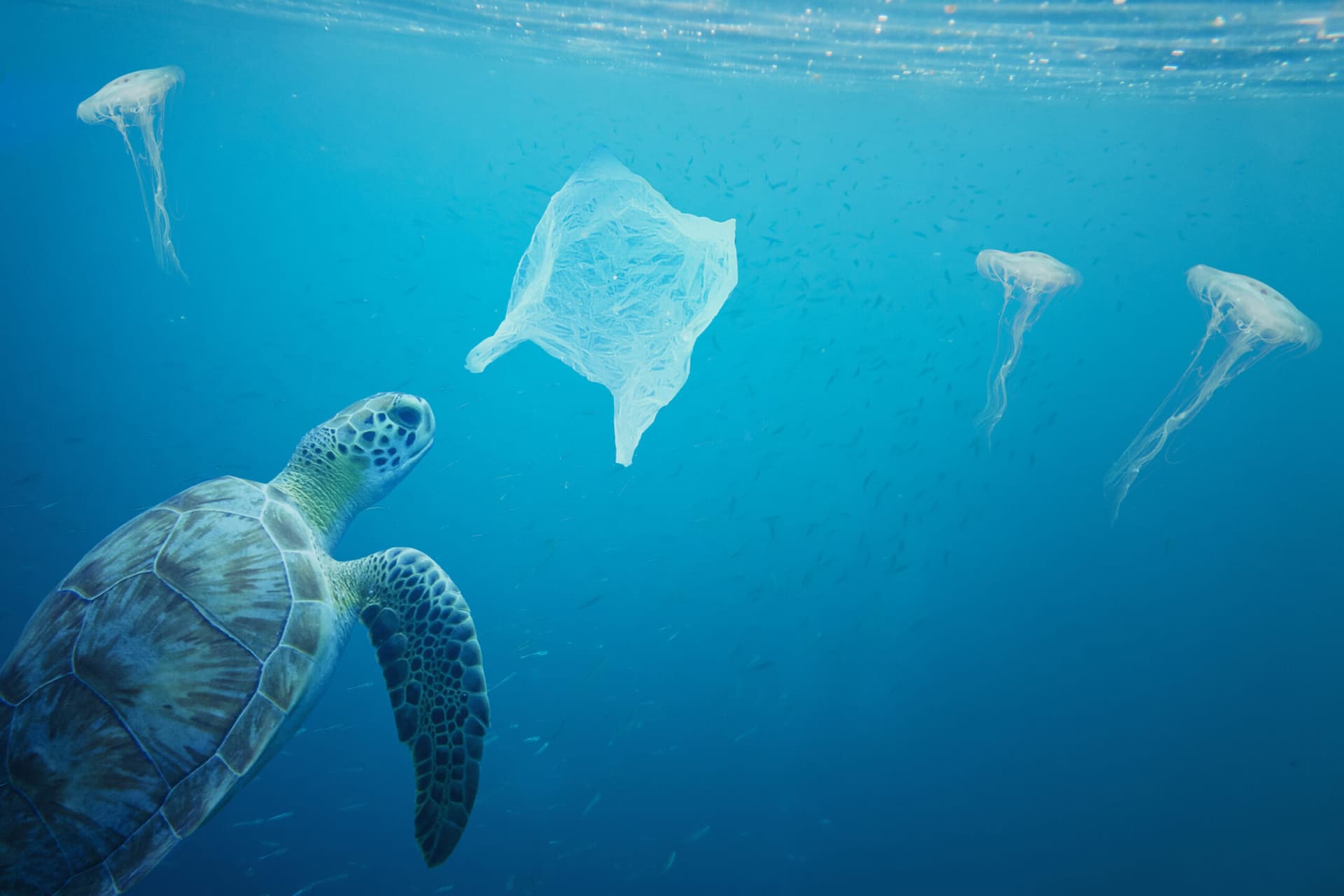 Una partnership per la CR Week: la settimana per la Corporate Responsibility