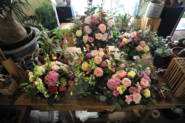 Un giardino nel cuore di Pavia per celebrare l'arte floreale