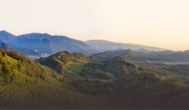 La storica cantina vinicola Val D’Oca corre nel digitale con una crescita a doppia cifra anche dopo il lockdown