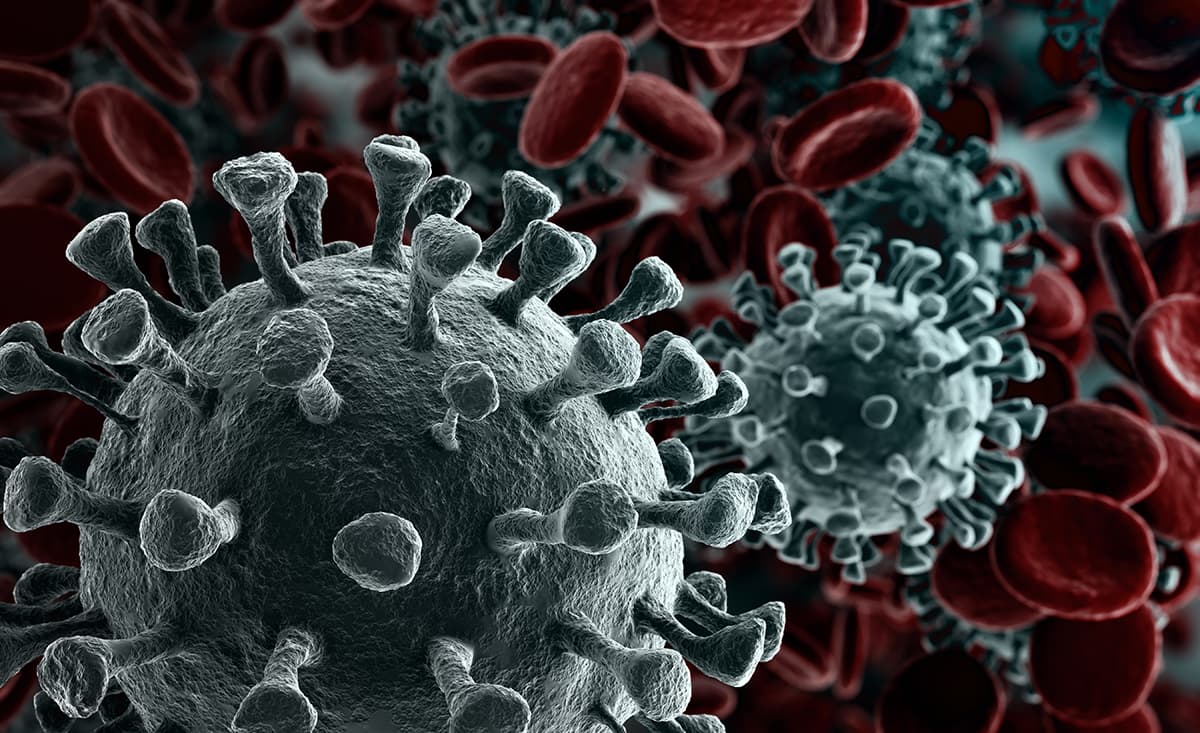 Risposta immunitaria fino a 6 mesi dall’infezione da Covid. Lo rivela uno studio inglese
