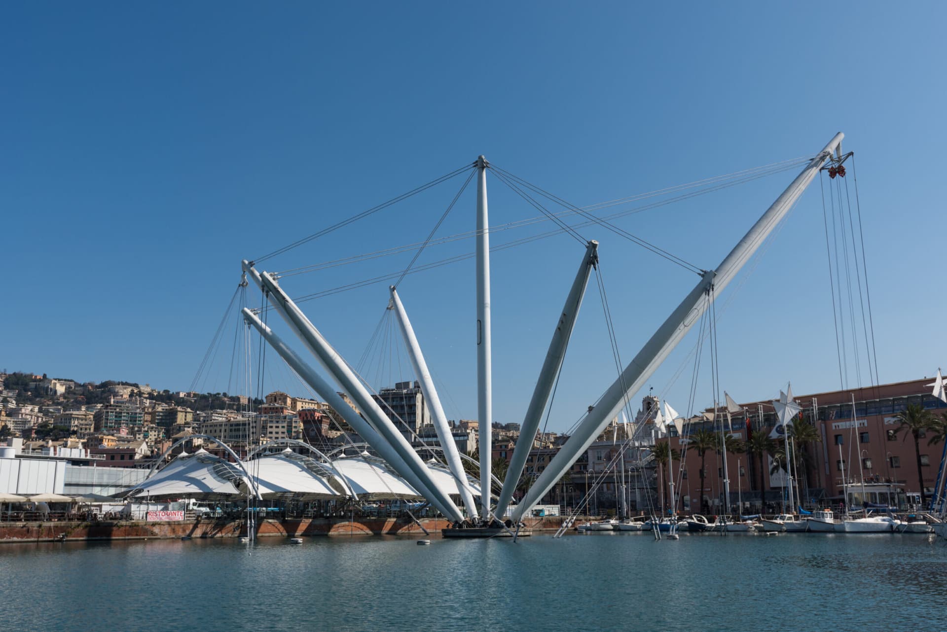 Genova come Copenaghen: così il sogno delle “città del quarto d’ora” rimodellerà l’economia