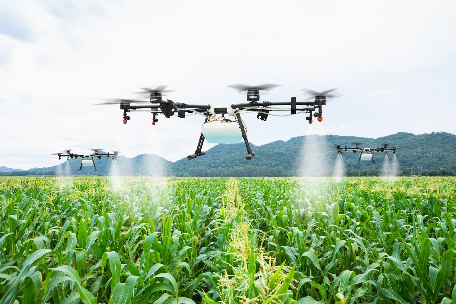 Ecco di quali manager ha bisogno l’agroalimentare per uno scatto nel futuro