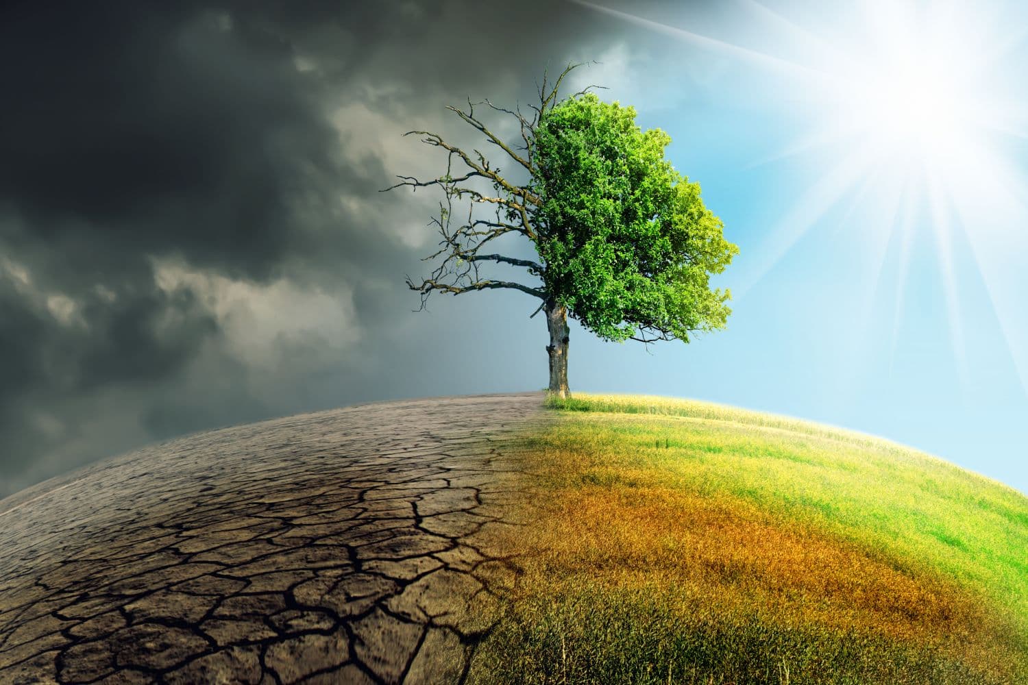 I rischi e i vantaggi del Green New Deal nel libro di un manager di Amazon Italia