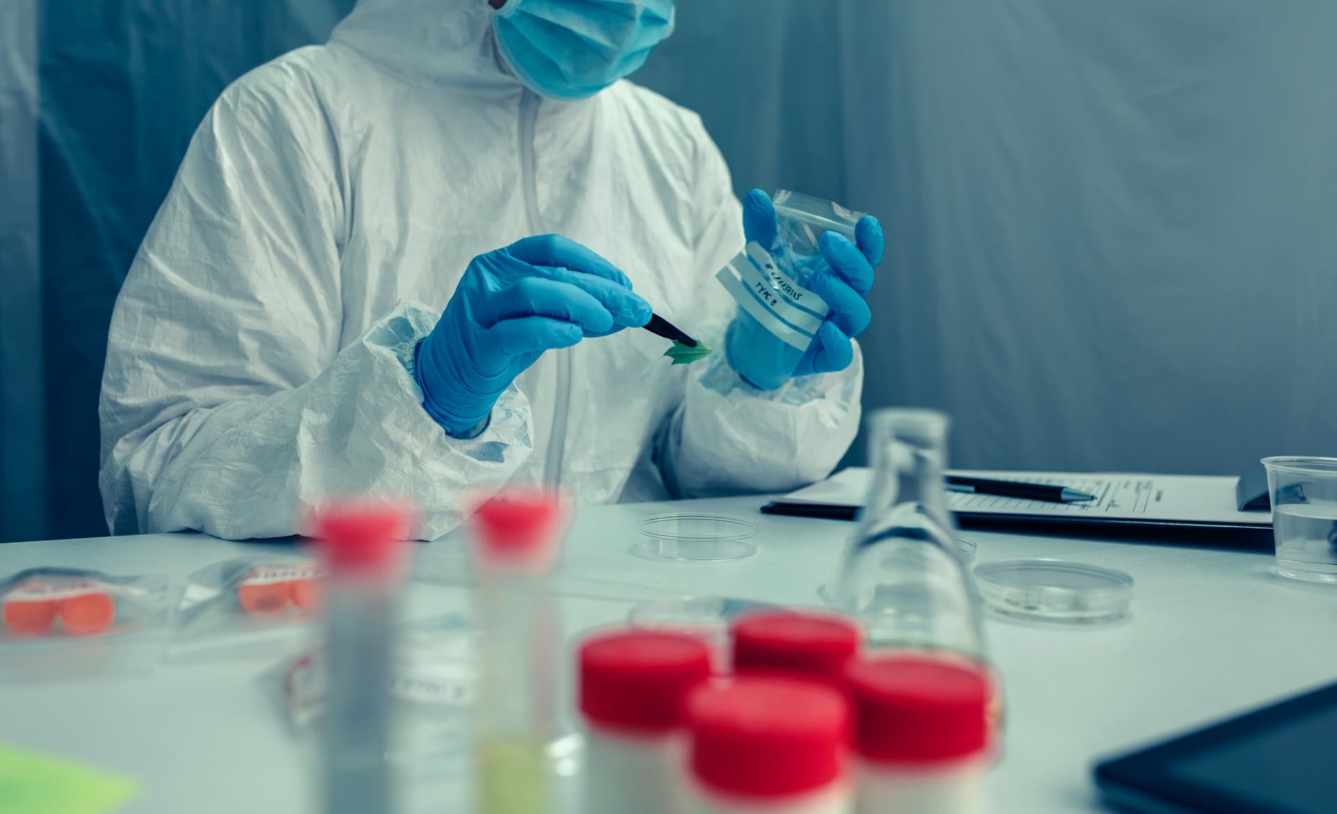 Il ceo di Pfizer dice che la pillola antivirale per il Covid potrebbe essere pronta entro l’anno