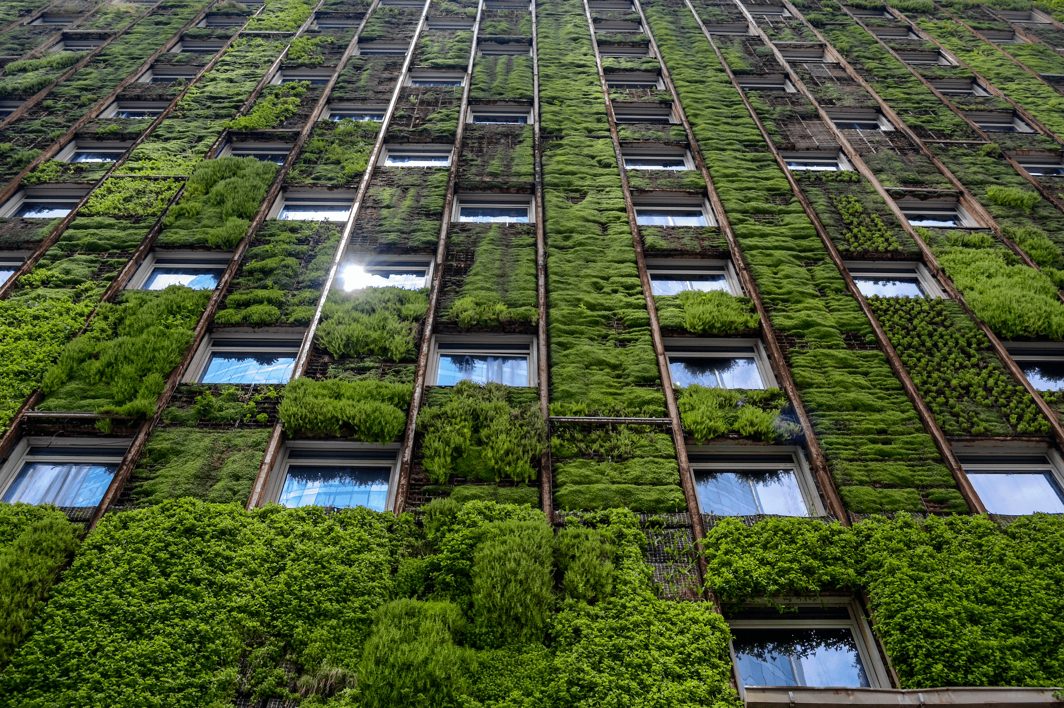 Empower the Future: Financing Zero Impact