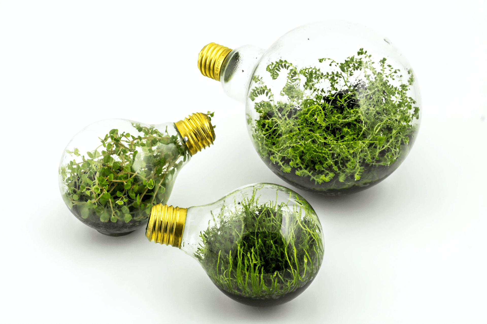 Empower the Future: verde e sostenibile, l’energia del futuro ha un colore diverso