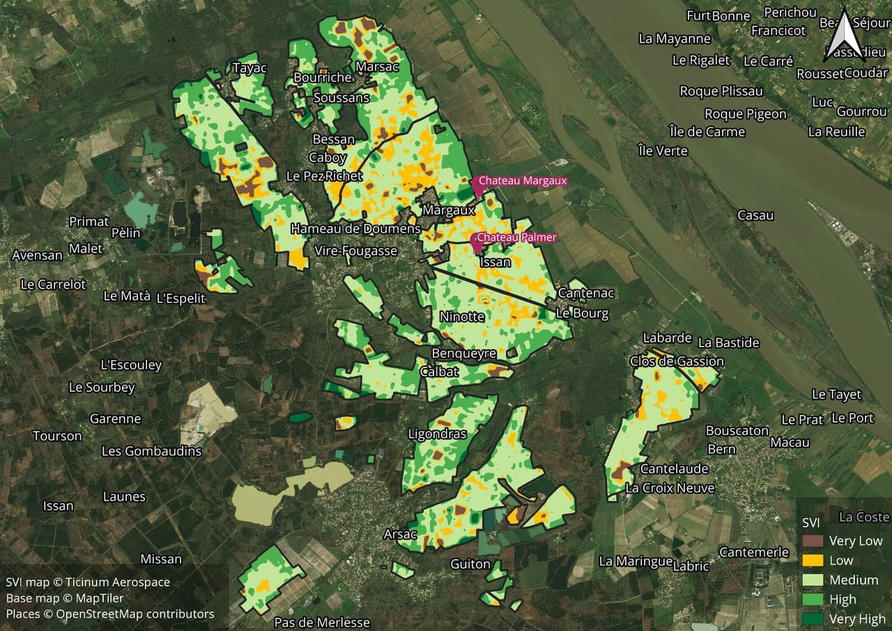 Valutare le annate dei vini con i satelliti: l'idea della startup lombarda Ticinum Aerospace