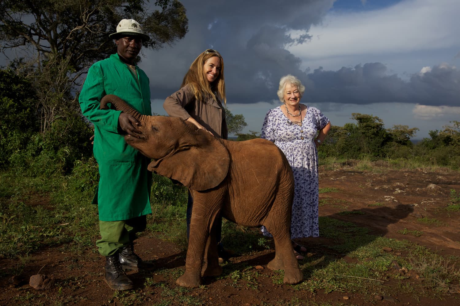 Chi è la donna che salva gli elefanti orfani del Kenya