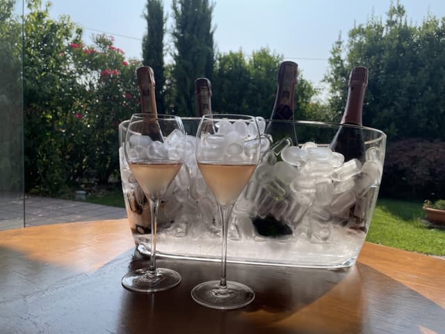 Quattro vini rosé di cantine blasonate da degustare in estate
