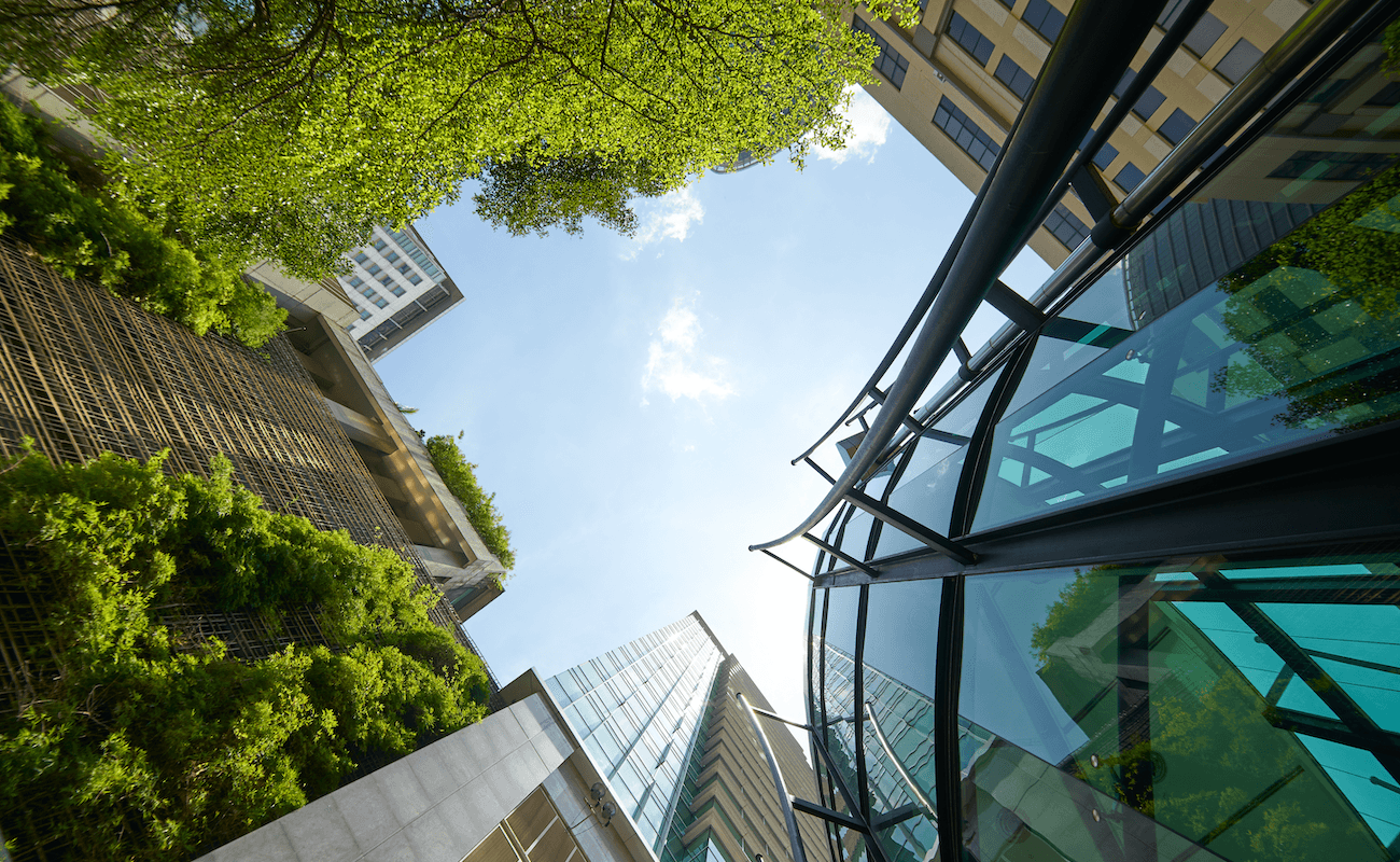 Corporate Social Responsibility Management – I nuovi protagonisti dello sviluppo sostenibile delle imprese