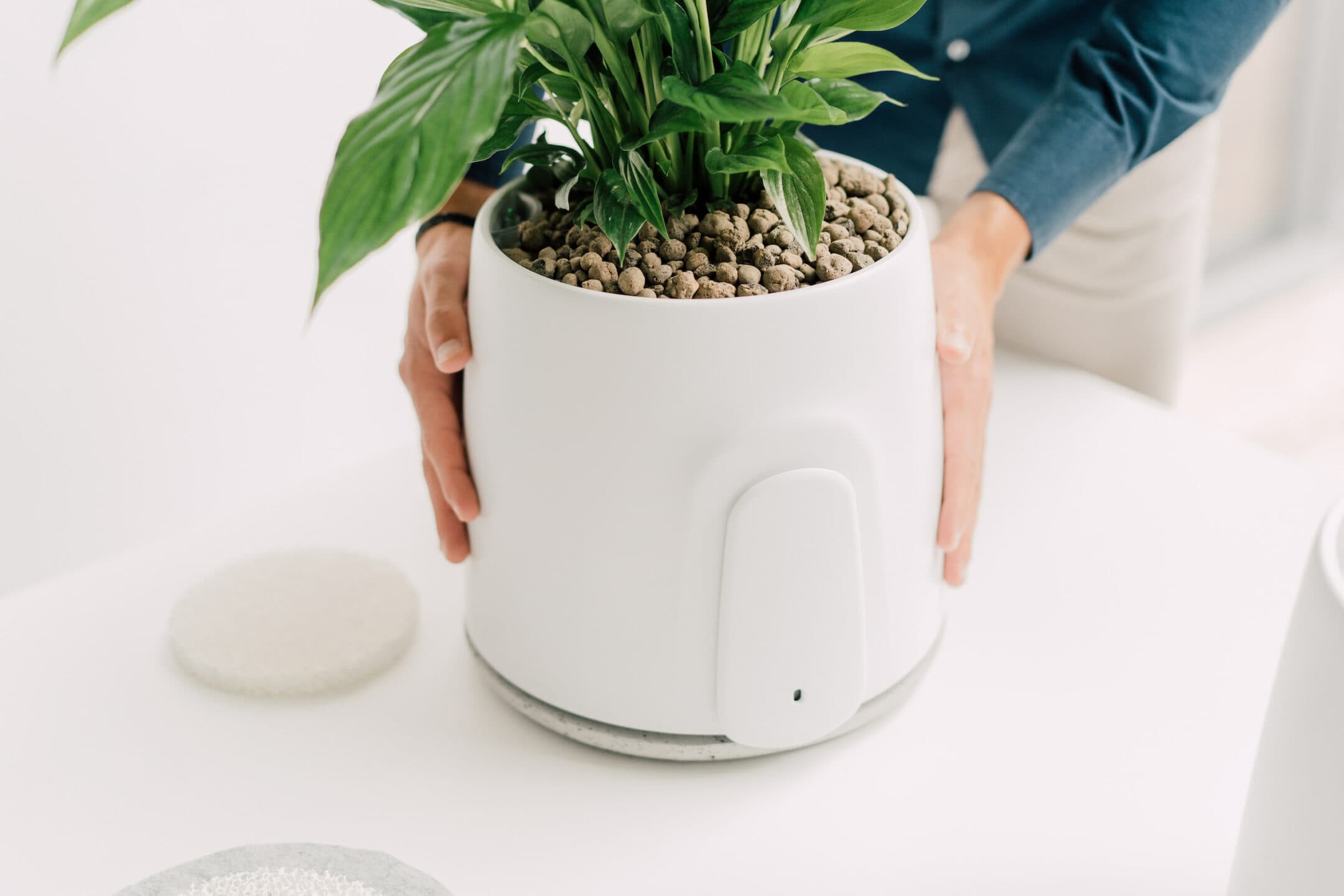 Vitesy cresce ancora nel mercato della purificazione dell’aria: nasce Natede Smart