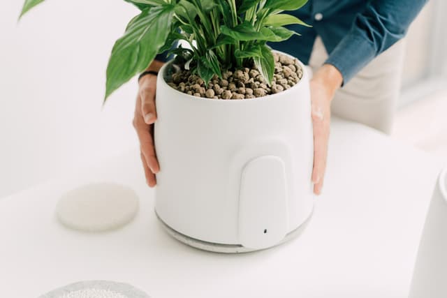 Vitesy cresce ancora nel mercato della purificazione dell’aria: nasce Natede Smart