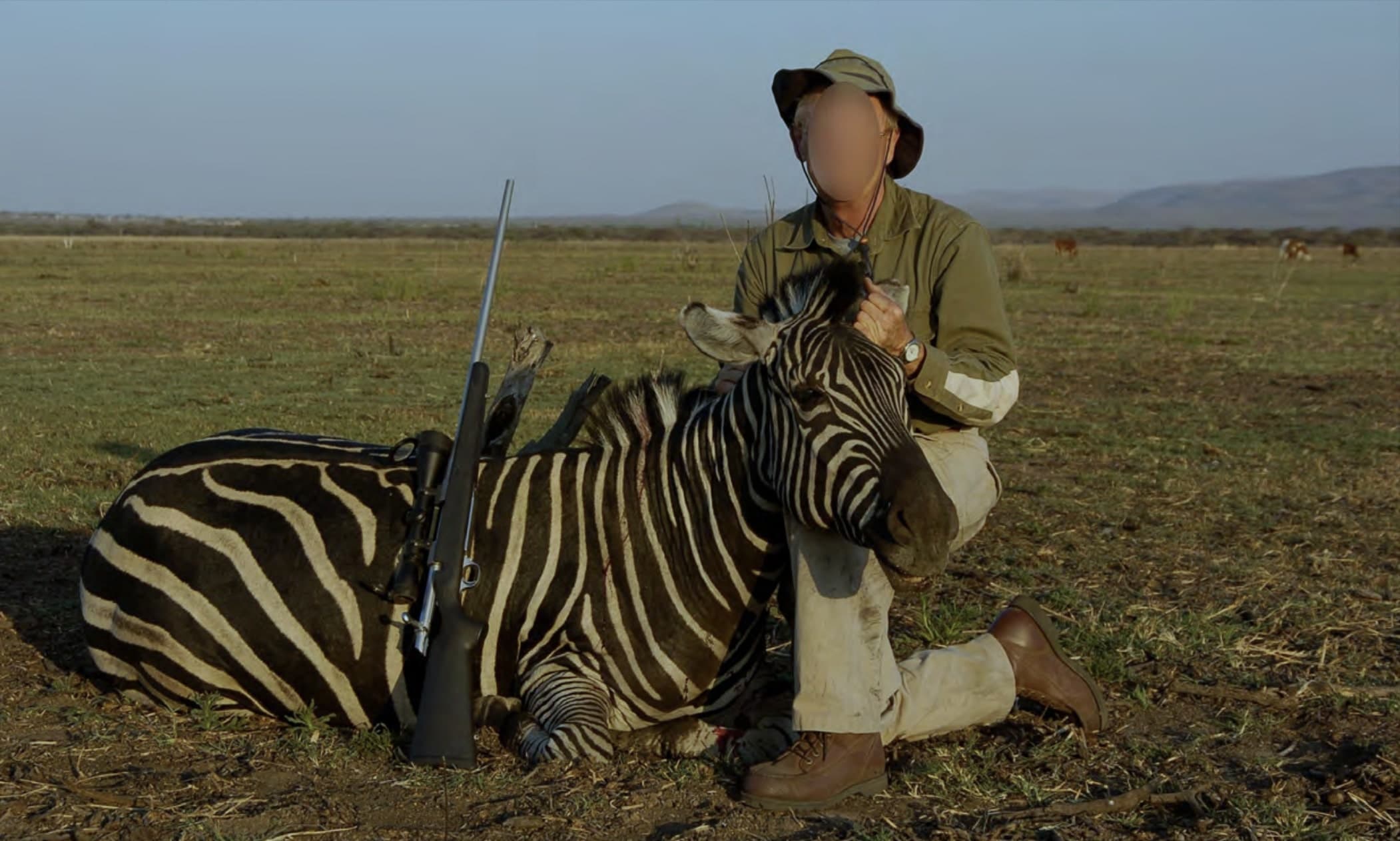 Humane society international lancia la campagna per vietare l'importazione e l'esportazione dei trofei di caccia