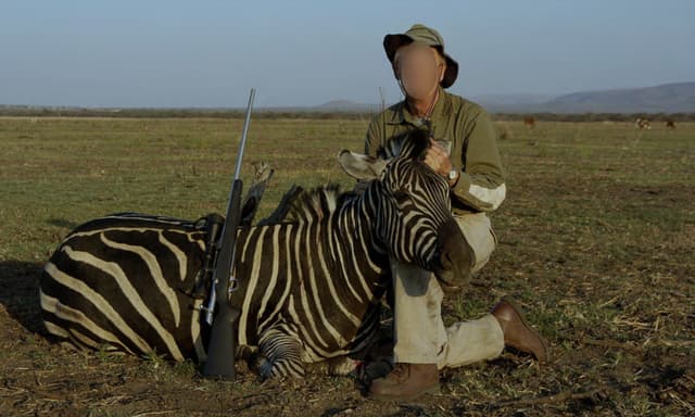 Humane society international lancia la campagna per vietare l'importazione e l'esportazione dei trofei di caccia