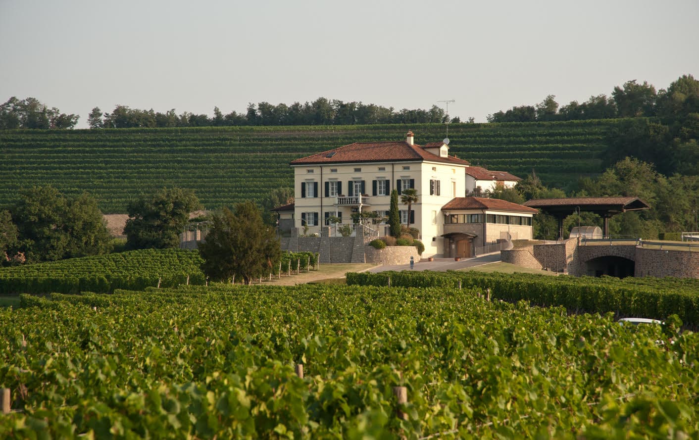 La strategia per rimanere competitivi di uno dei brand storici del panorama enologico