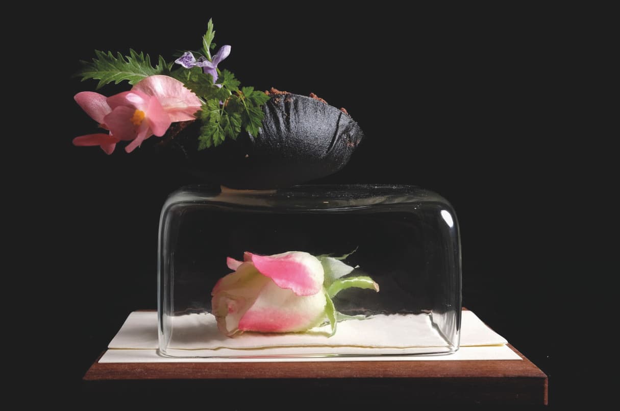 Sapori stellati: i migliori ristoranti dove cenare a San Valentino