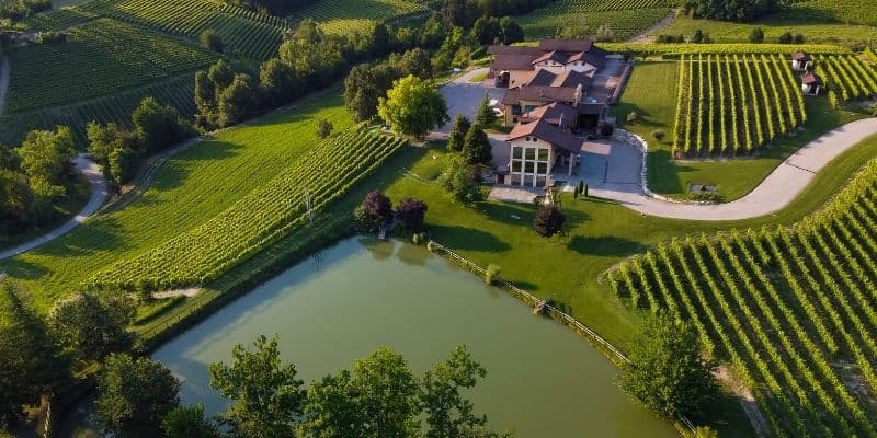 L'azienda delle Langhe dai cui vigneti provengono le prime bottiglie di Barolo esportate nel mondo