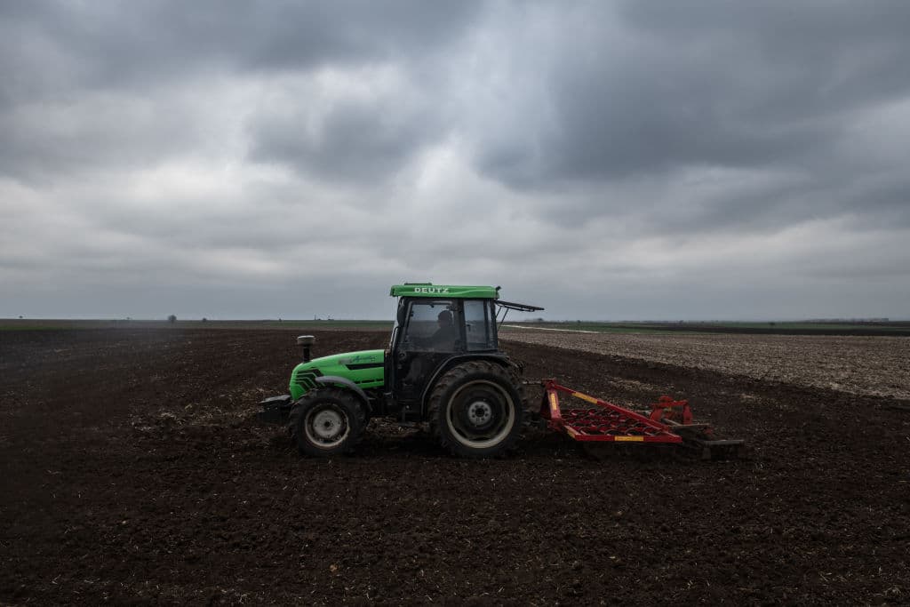 L'allarme della Fao: "Prezzi alimentari ai massimi storici per la guerra in Ucraina"