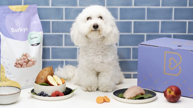 Cani in salute e alimentazione personalizzata: così Barkyn sta conquistando il mercato italiano