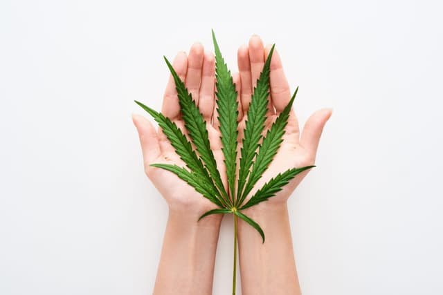 L'azienda che con i suoi prodotti innovativi al CBD aiuta a prevenire l’acne
