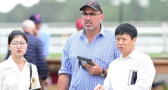 Così i milionari cinesi vogliono conquistare il mondo dell'ippica