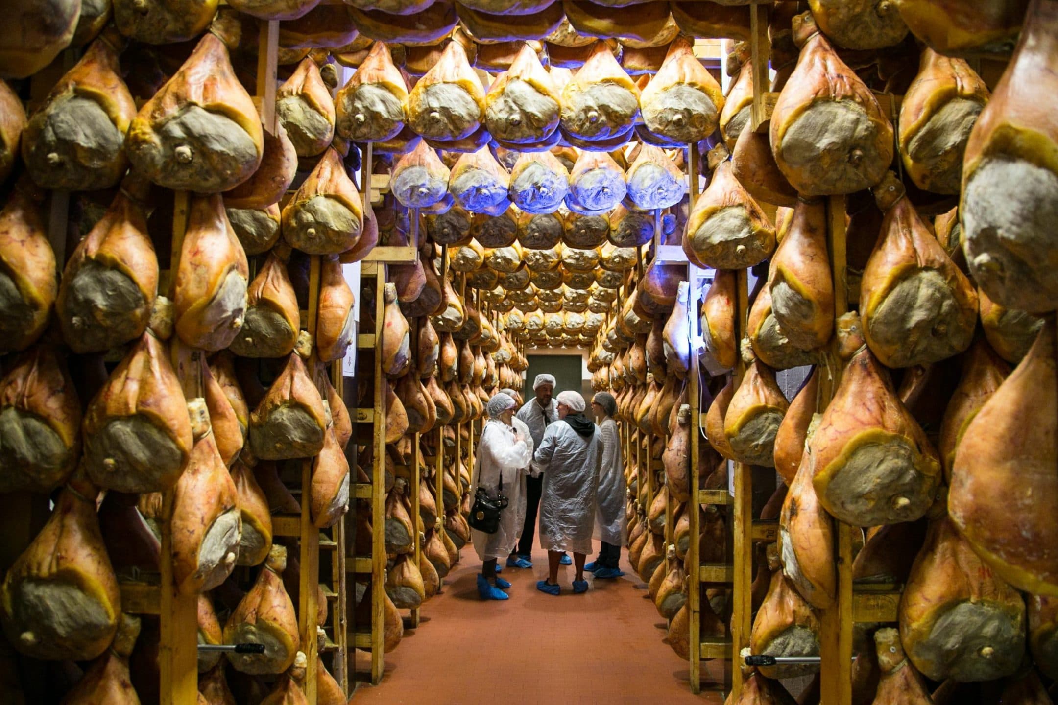 Viaggio nella Silicon Valley del buon gusto, dove l'agroalimentare genera 7,8 miliardi di fatturato e dà lavoro a 14mila persone