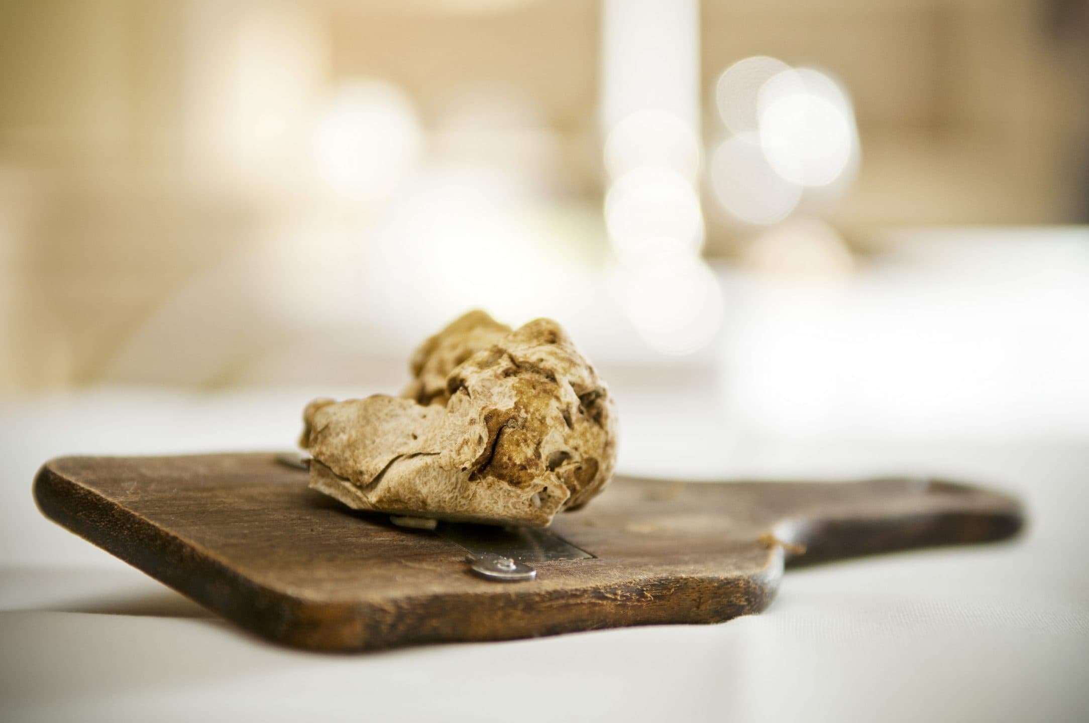 Il tartufo bianco d'Alba apre le porte al metaverso: alla Fiera internazionale un percorso phygital in 5 tappe