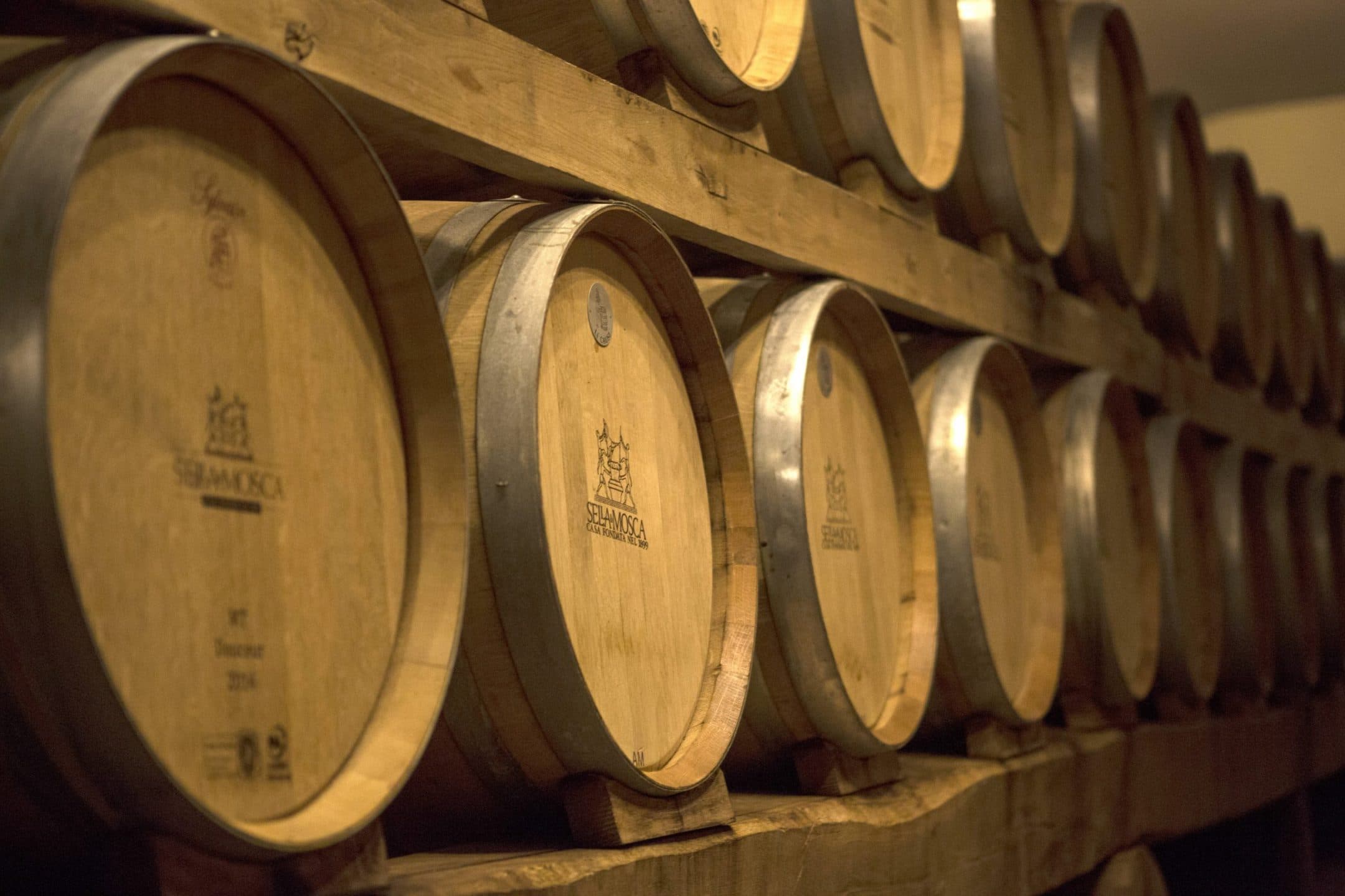 Qualità e sintonia con il territorio, così Sella&Mosca è diventata una realtà vitivinicola di successo