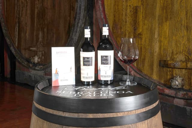 Così Fontanafredda rinnova il Barolo a 30 anni dalla nascita