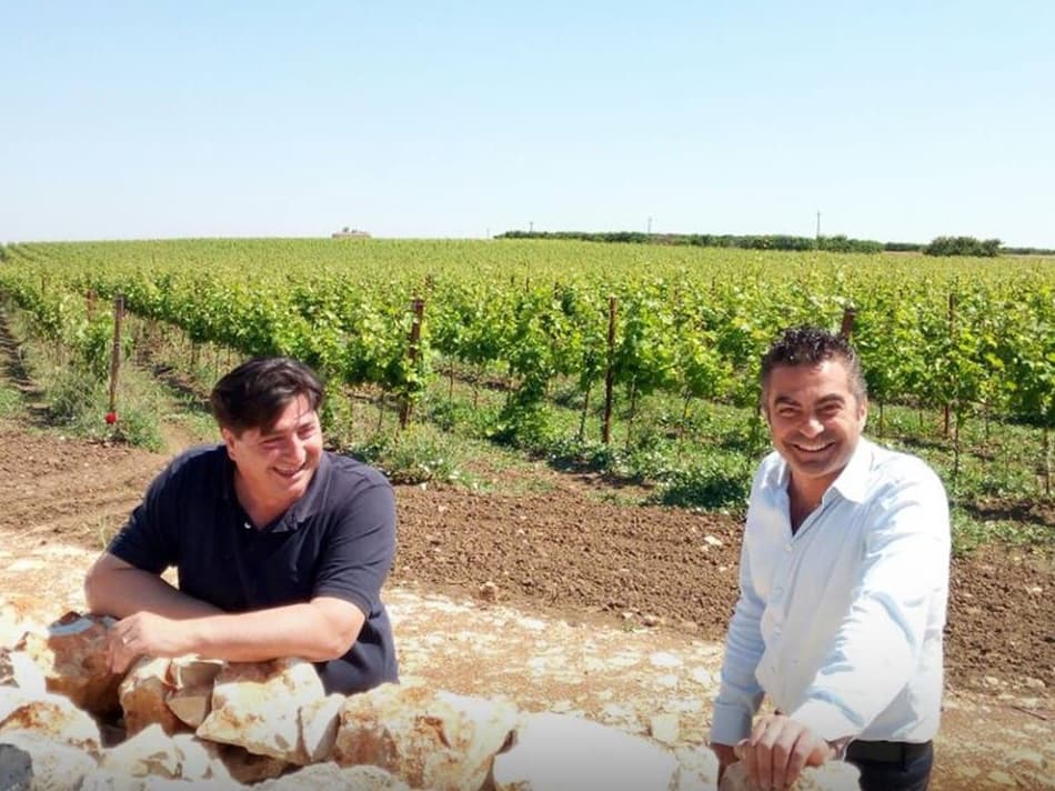 Impegno e continua sperimentazione: così Tenute Chiaromonte valorizza nel mondo il Primitivo Doc Gioia del Colle