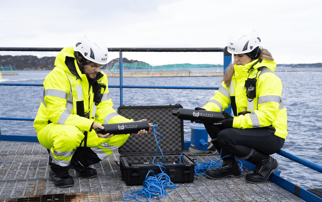 Questa impresa italiana ha sviluppato una tecnologia per monitorare in tempo reale gli ambienti marini e oceanici