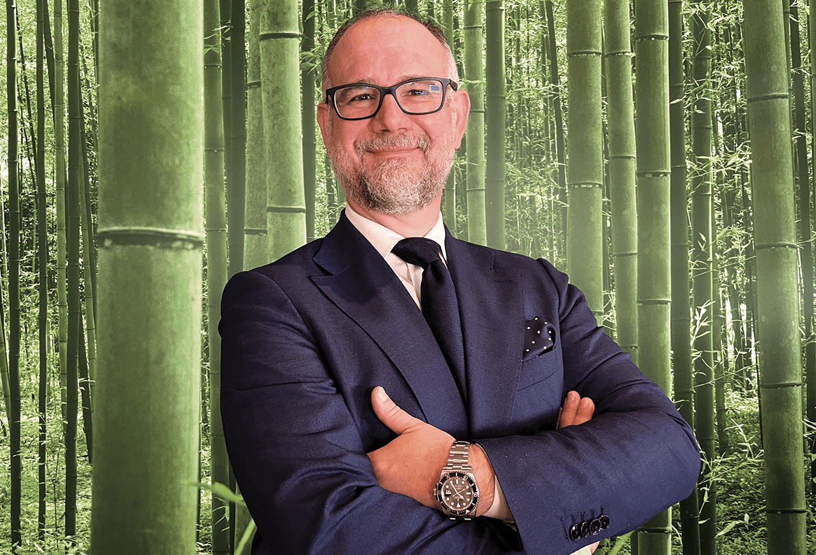 L'azienda che vuole ridurre l'impatto ambientale grazie al bambù gigante