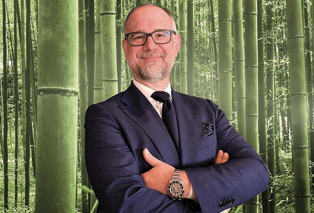 L'azienda che vuole ridurre l'impatto ambientale grazie al bambù gigante