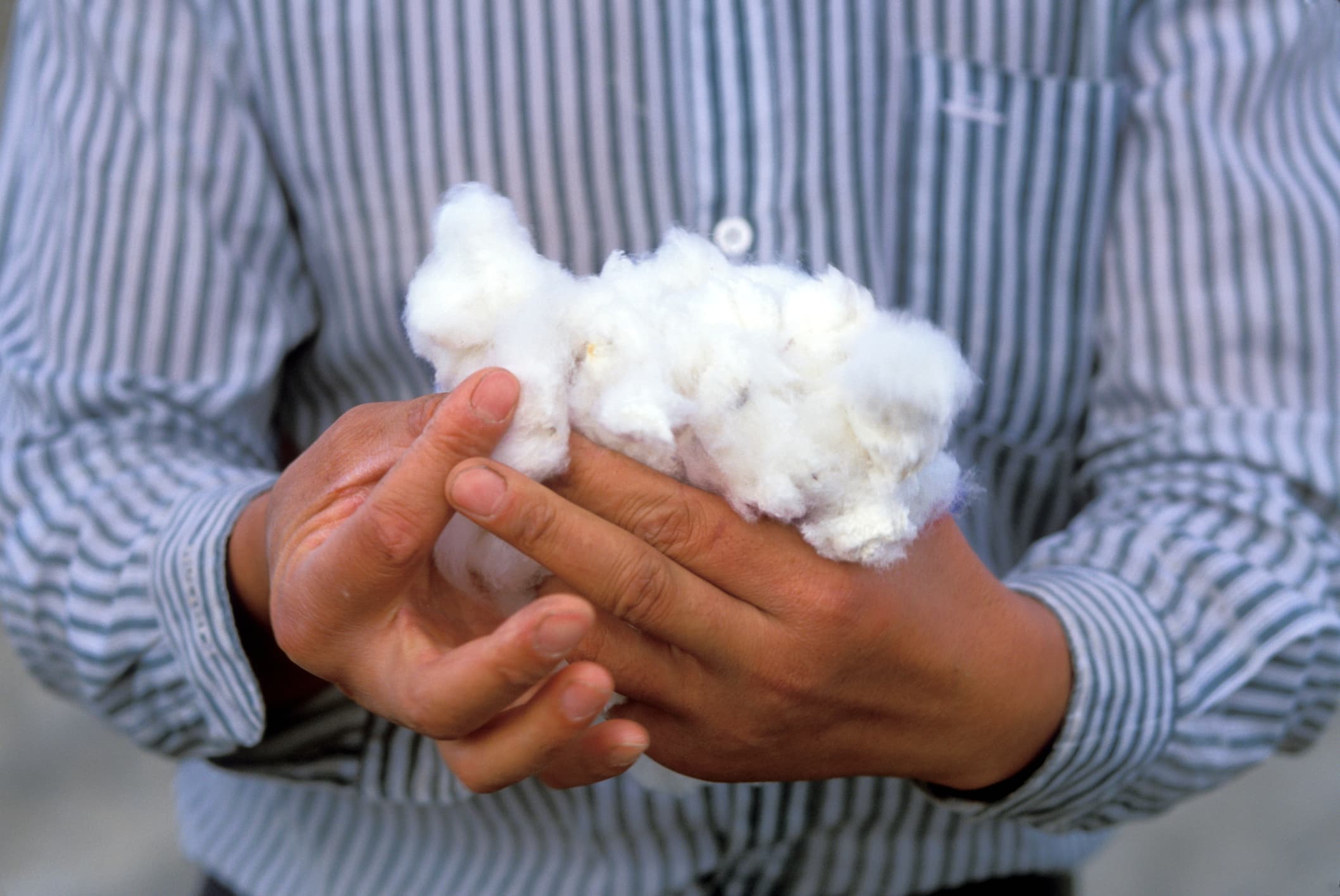 I tuoi vestiti sono stati prodotti con il lavoro forzato? Queste startup possono rivelartelo